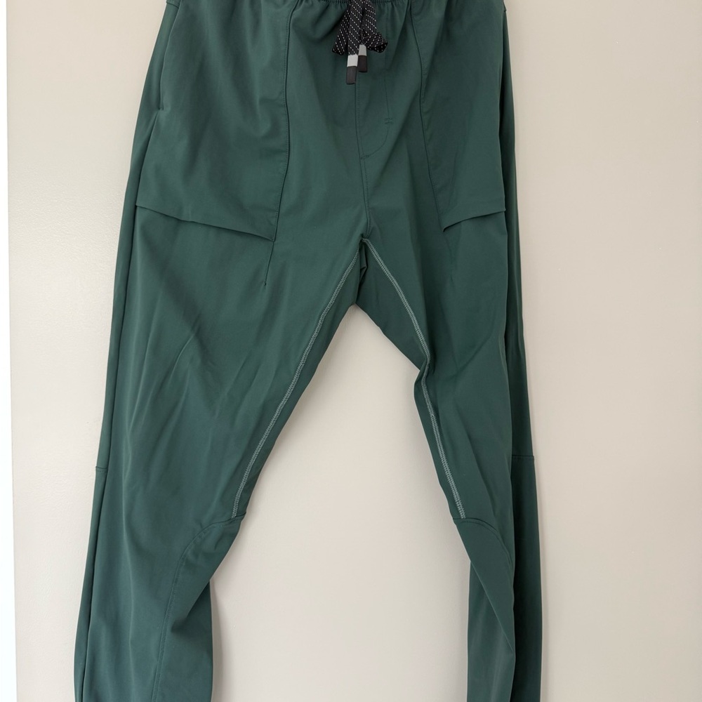 Fabletics Men's Green Athletic Pants